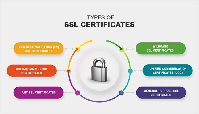 Types of SSL Certificates to Secure Your Website Types of SSL Certificates to Secure Your Website